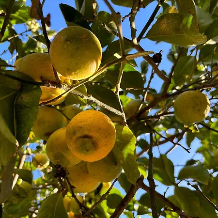 Ificumori, Campagna Ammare * Marina di Modica