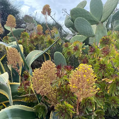 Ificumori, Campagna Ammare Marina di Modica
