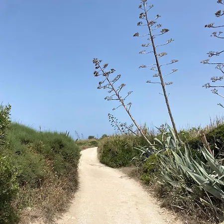 Ificumori, Campagna Ammare *