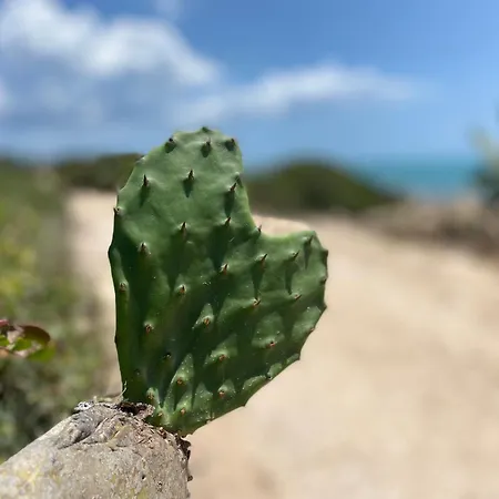 Ificumori, Campagna Ammare