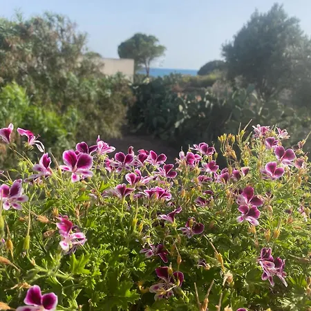 Ificumori, Campagna Ammare Marina di Modica