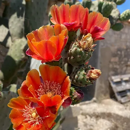 Dom wakacyjny Ificumori, Campagna Ammare Marina di Modica