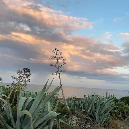 Ificumori, Campagna Ammare