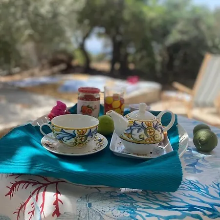 Ificumori, Campagna Ammare