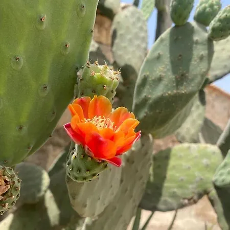 Ificumori, Campagna Ammare Dom wakacyjny Marina di Modica
