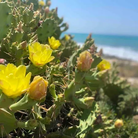 Ificumori, Campagna Ammare Holiday home