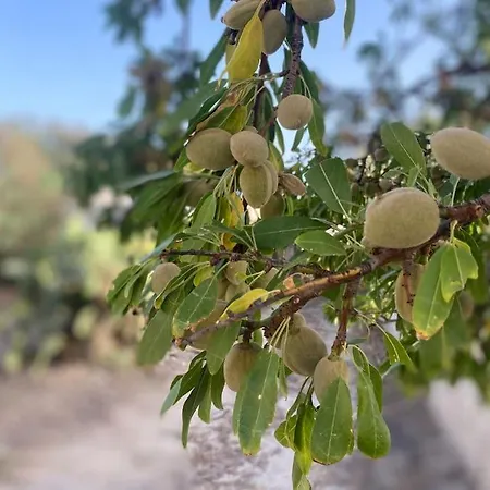 Ificumori, Campagna Ammare * Marina di Modica