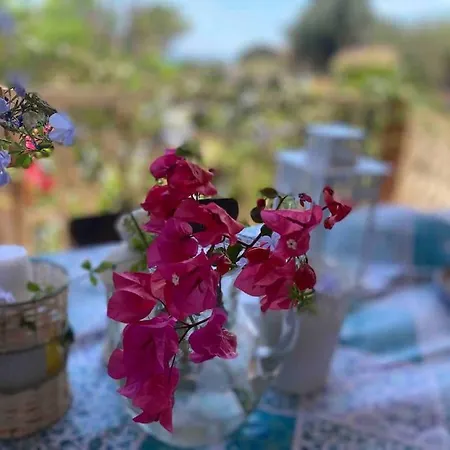 Ificumori, Campagna Ammare Dom wakacyjny *