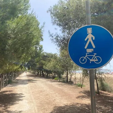 Ificumori, Campagna Ammare *