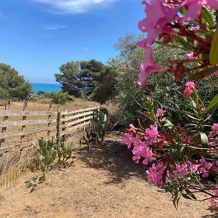 Ificumori, Campagna Ammare