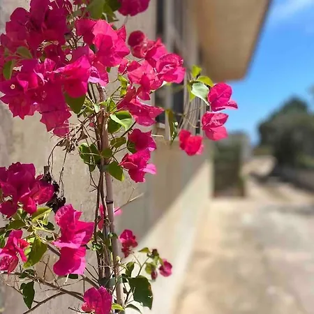 Dom wakacyjny Ificumori, Campagna Ammare