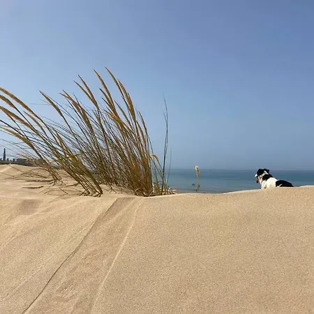 Dom wakacyjny Ificumori, Campagna Ammare *