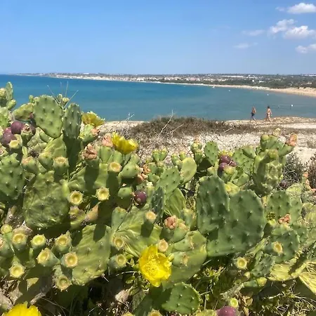 Dom wakacyjny Ificumori, Campagna Ammare Marina di Modica