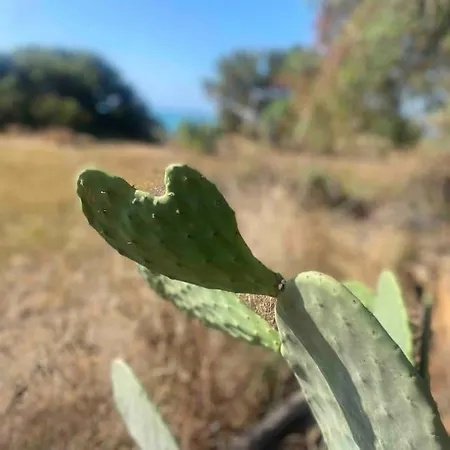 Ificumori, Campagna Ammare Dom wakacyjny