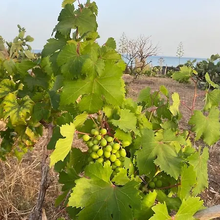 Ificumori, Campagna Ammare * Marina di Modica