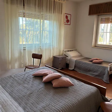 Ificumori, Campagna Ammare