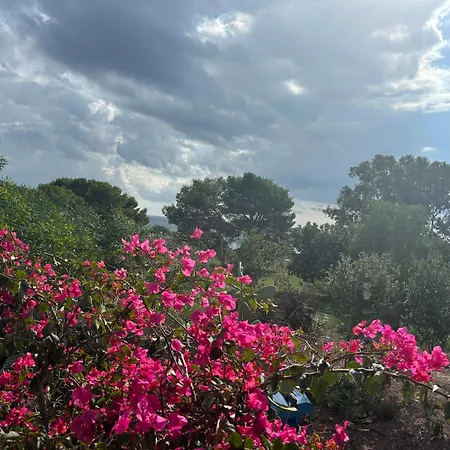 Ificumori, Campagna Ammare Holiday home *