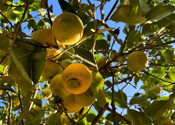 Ificumori, Campagna Ammare * Marina di Modica