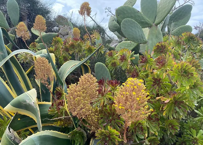 Ificumori, Campagna Ammare Marina di Modica