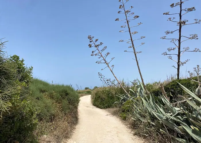 Ificumori, Campagna Ammare *