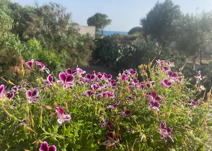 Ificumori, Campagna Ammare Marina di Modica