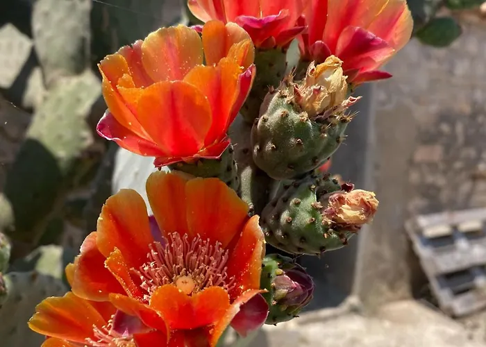 Feriehus Ificumori, Campagna Ammare Marina di Modica