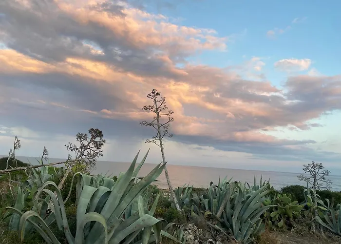 Ificumori, Campagna Ammare