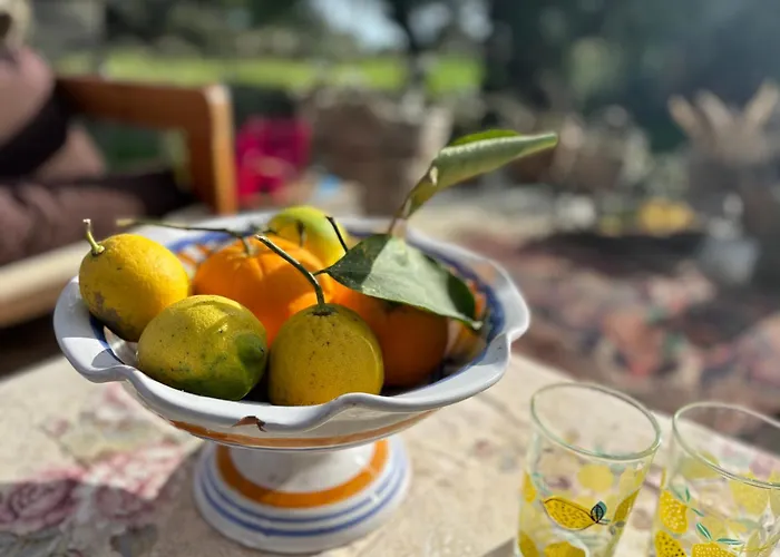 Ificumori, Campagna Ammare *