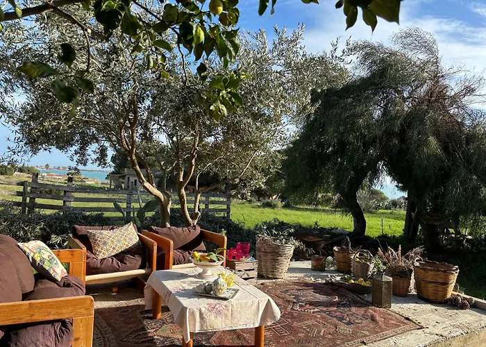 Ificumori, Campagna Ammare Feriehus *