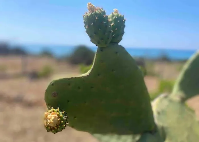 Feriehus Ificumori, Campagna Ammare Marina di Modica