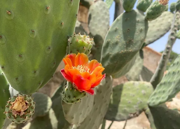 Ificumori, Campagna Ammare Feriehus Marina di Modica