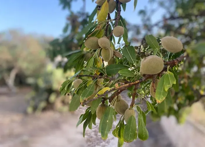 Ificumori, Campagna Ammare * Marina di Modica