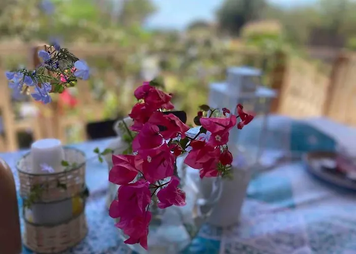 Ificumori, Campagna Ammare Feriehus *