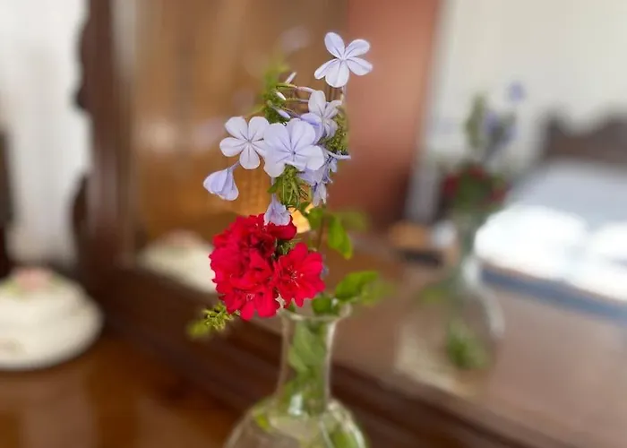 Ificumori, Campagna Ammare