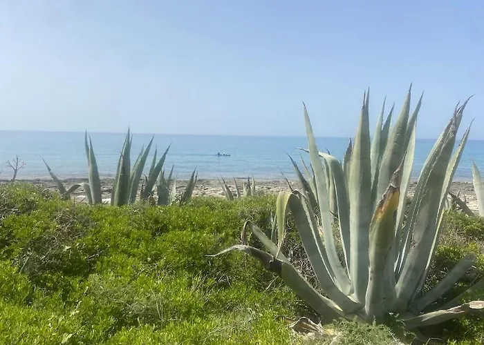 Ificumori, Campagna Ammare Feriehus *