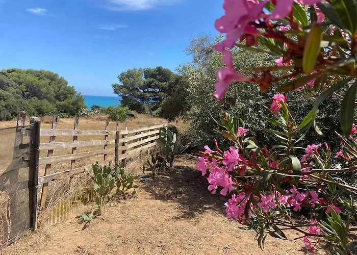 Ificumori, Campagna Ammare