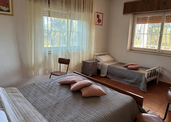 Ificumori, Campagna Ammare