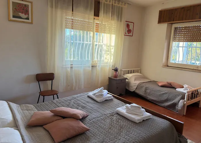 Ificumori, Campagna Ammare *