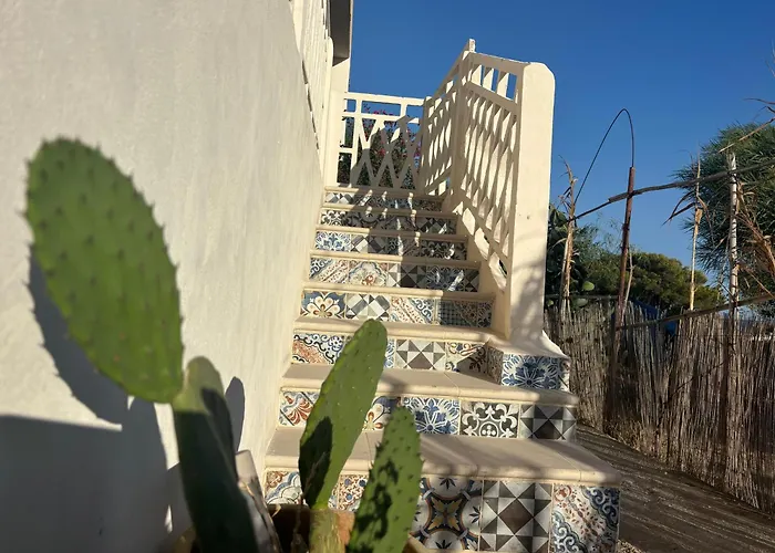 Ificumori, Campagna Ammare