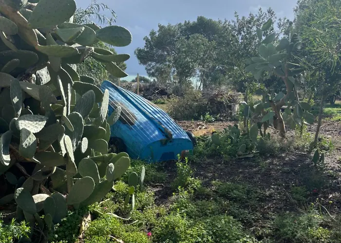 Ificumori, Campagna Ammare *