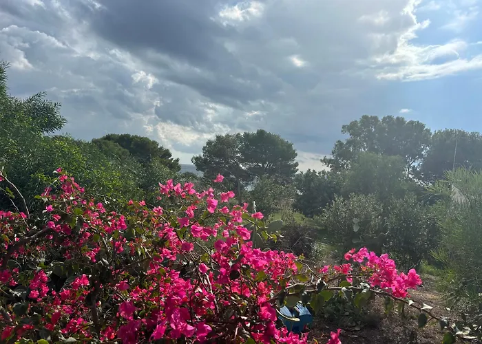 Ificumori, Campagna Ammare Feriehus *